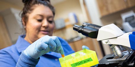 Woman in a lab holding samples standing in front of a microscope.