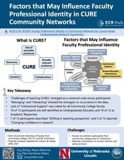 Factors that May Influence Faculty Professional Identity in CURE Community Networks