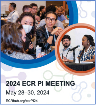 Icon for the ECR PI meeting program PDF